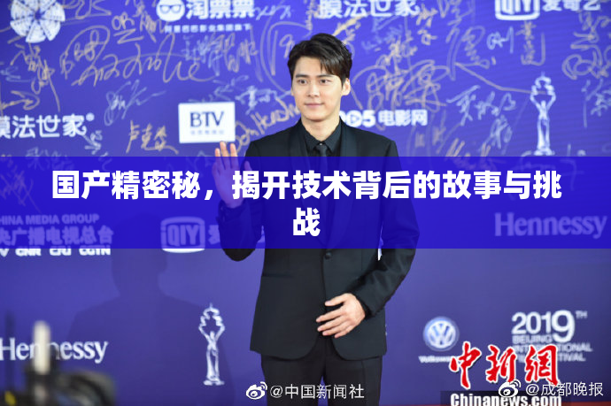 国产精密秘，揭开技术背后的故事与挑战