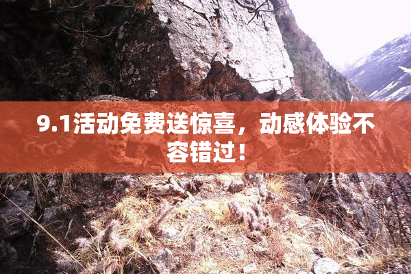 9.1活动免费送惊喜，动感体验不容错过！