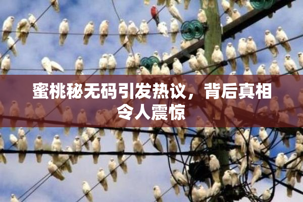 蜜桃秘无码引发热议，背后真相令人震惊