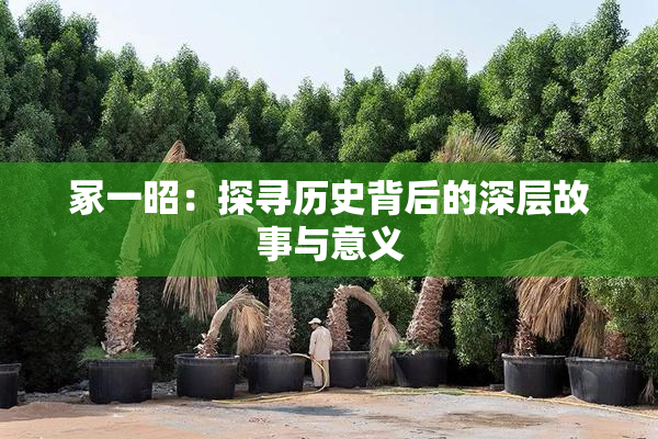 冢一昭：探寻历史背后的深层故事与意义