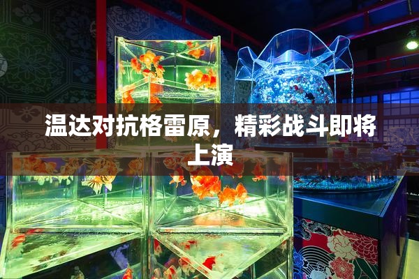 温达对抗格雷原，精彩战斗即将上演