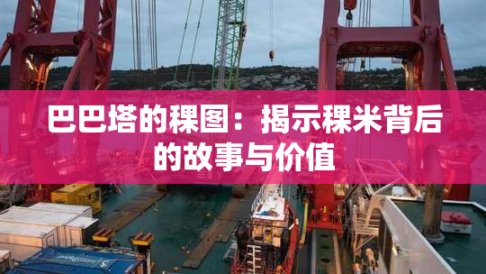 巴巴塔的稞图：揭示稞米背后的故事与价值