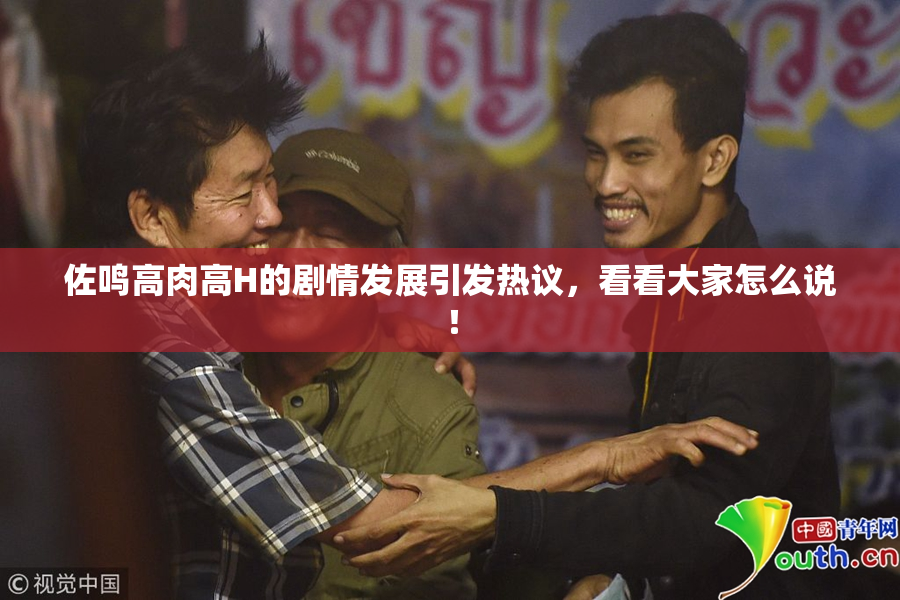 佐鸣高肉高H的剧情发展引发热议，看看大家怎么说！
