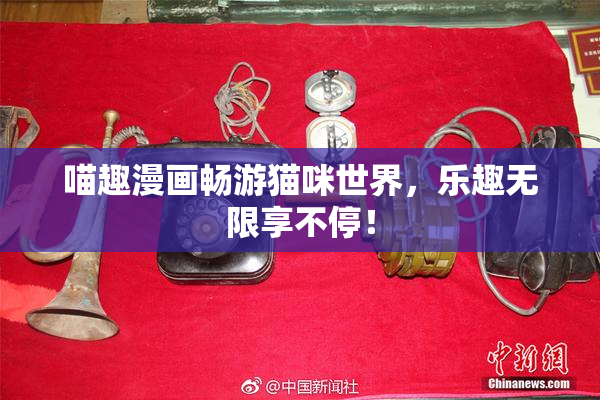 喵趣漫画畅游猫咪世界，乐趣无限享不停！