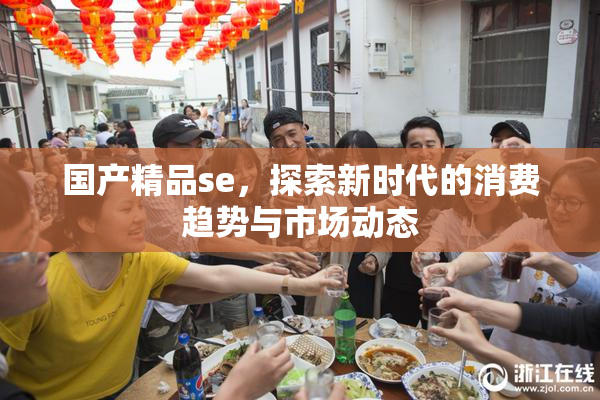 国产精品se，探索新时代的消费趋势与市场动态