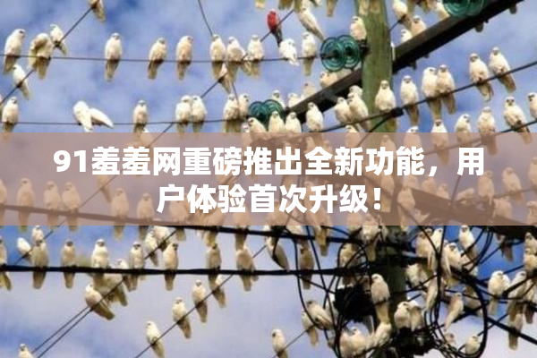91羞羞网重磅推出全新功能，用户体验首次升级！