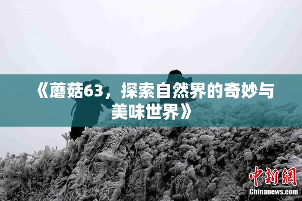 《蘑菇63，探索自然界的奇妙与美味世界》