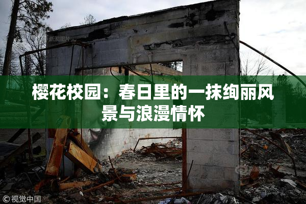 樱花校园：春日里的一抹绚丽风景与浪漫情怀