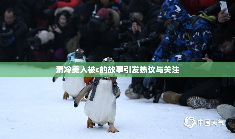 清冷美人被c的故事引发热议与关注