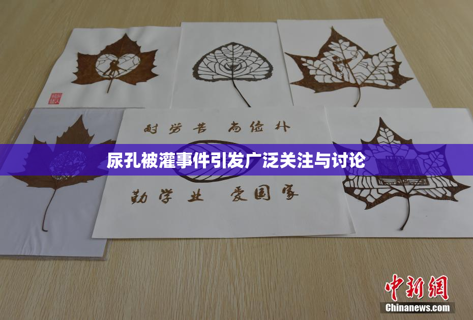 尿孔被灌事件引发广泛关注与讨论