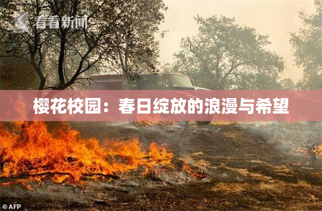 樱花校园：春日绽放的浪漫与希望