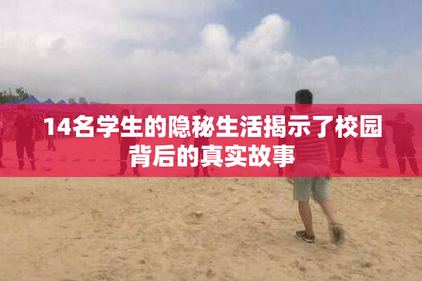 14名学生的隐秘生活揭示了校园背后的真实故事