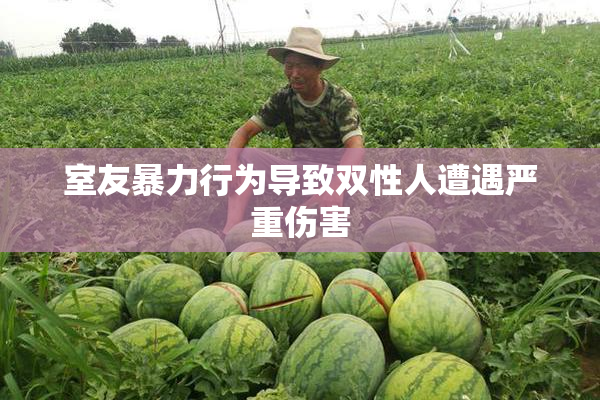 室友暴力行为导致双性人遭遇严重伤害