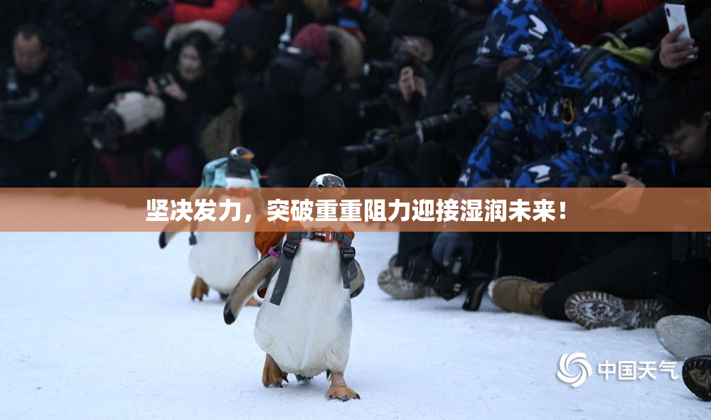 坚决发力，突破重重阻力迎接湿润未来！