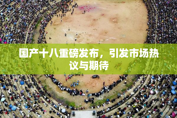 国产十八重磅发布，引发市场热议与期待
