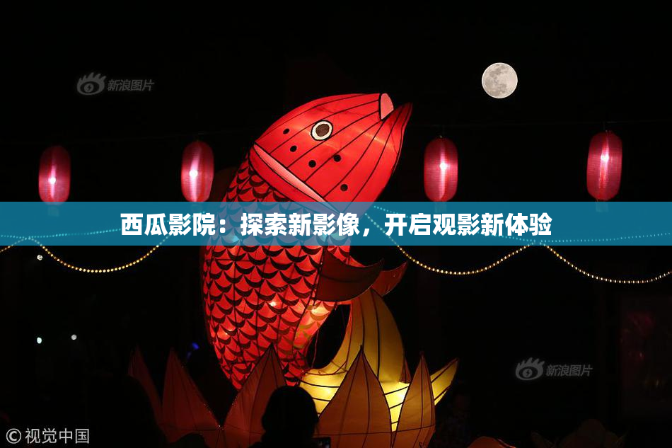 西瓜影院：探索新影像，开启观影新体验