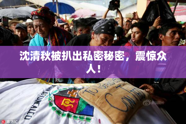 沈清秋被扒出私密秘密，震惊众人！