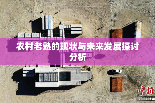 农村老熟的现状与未来发展探讨分析