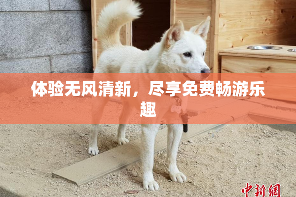 体验无风清新，尽享免费畅游乐趣