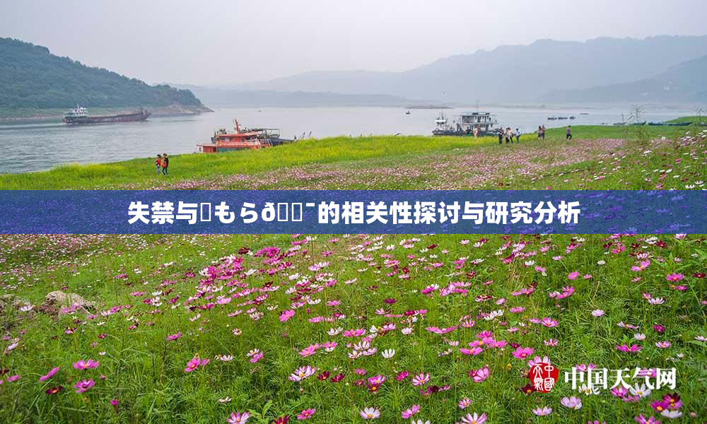 失禁与✿もら🔯的相关性探讨与研究分析