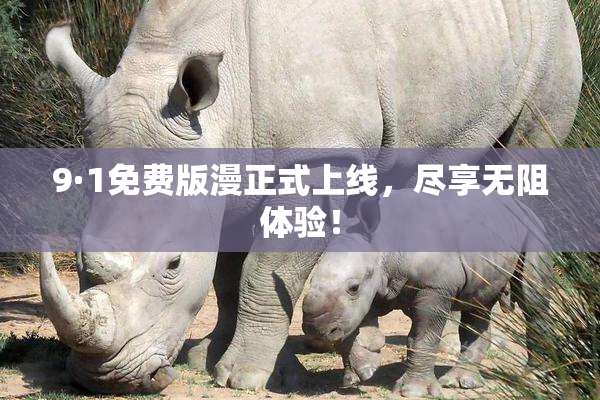 9·1免费版漫正式上线，尽享无阻体验！