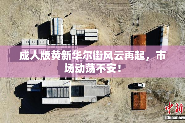 成人版黄新华尔街风云再起，市场动荡不安！