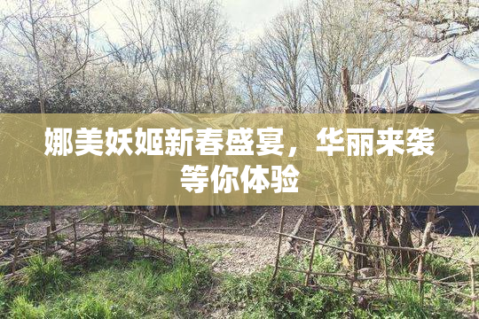 娜美妖姬新春盛宴，华丽来袭等你体验