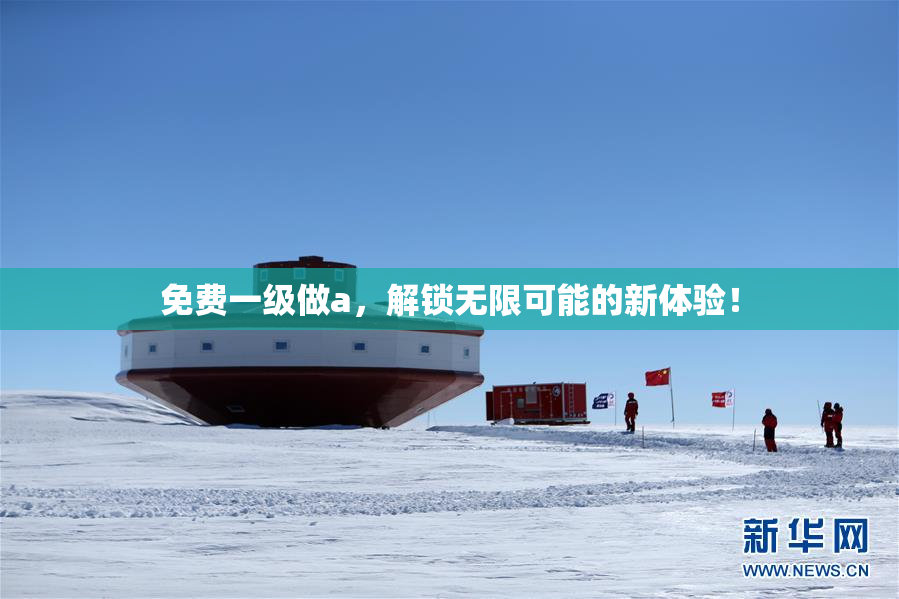 免费一级做a，解锁无限可能的新体验！