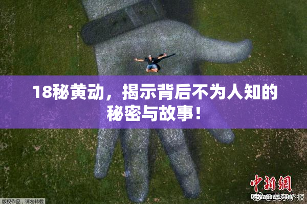 18秘黄动，揭示背后不为人知的秘密与故事！