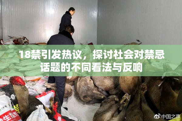 18禁引发热议，探讨社会对禁忌话题的不同看法与反响