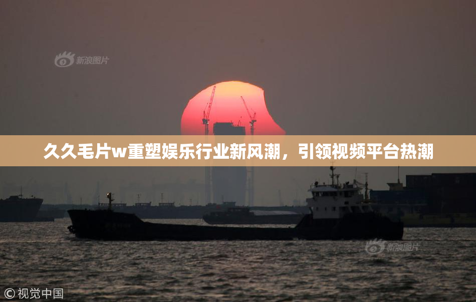 久久毛片w重塑娱乐行业新风潮，引领视频平台热潮