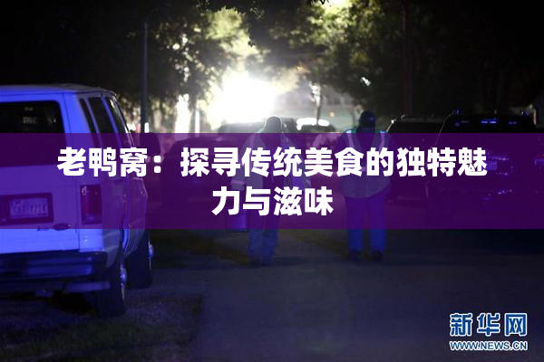 老鸭窝：探寻传统美食的独特魅力与滋味