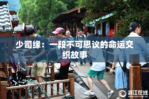 少司缘：一段不可思议的命运交织故事