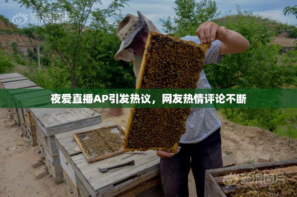 夜爱直播AP引发热议，网友热情评论不断