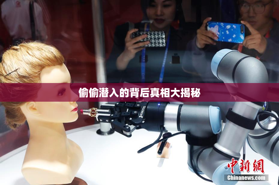 偷偷潜入的背后真相大揭秘