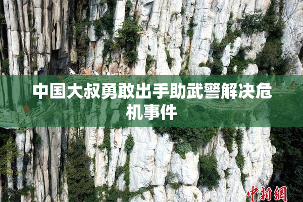 中国大叔勇敢出手助武警解决危机事件