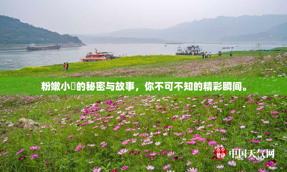 粉嫩小泬的秘密与故事，你不可不知的精彩瞬间。