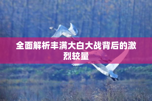 全面解析丰满大白大战背后的激烈较量