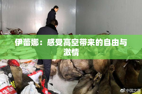 伊蕾娜：感受高空带来的自由与激情