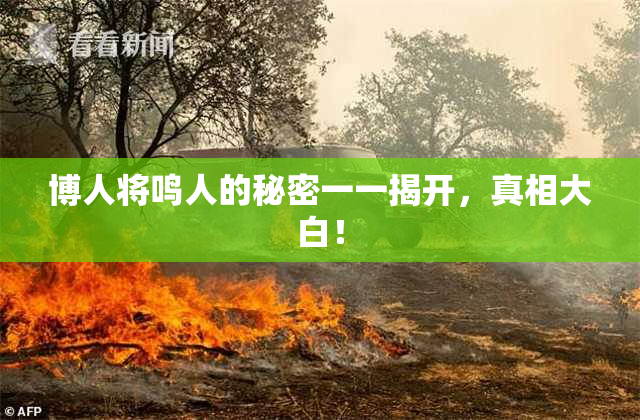 博人将鸣人的秘密一一揭开，真相大白！