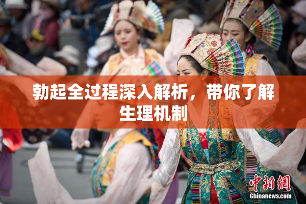 勃起全过程深入解析，带你了解生理机制