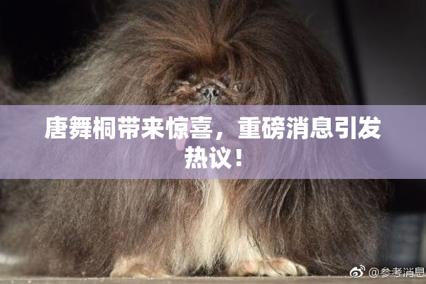 唐舞桐带来惊喜，重磅消息引发热议！