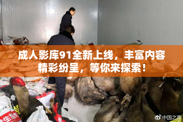 成人影库91全新上线，丰富内容精彩纷呈，等你来探索！