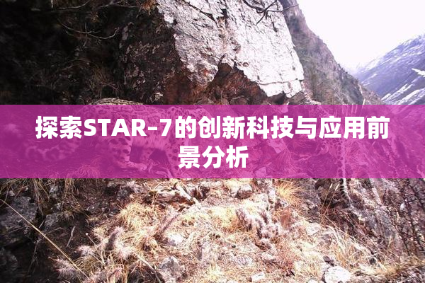 探索STAR–7的创新科技与应用前景分析