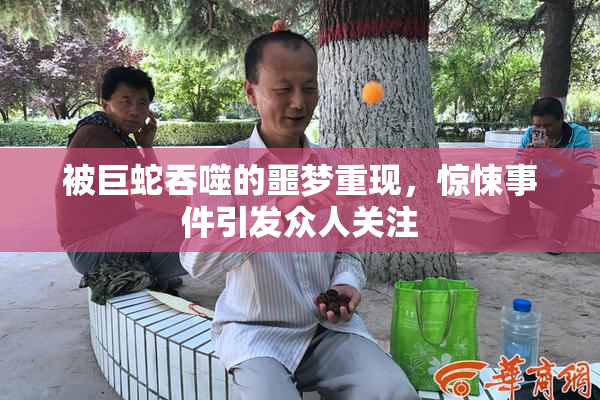 被巨蛇吞噬的噩梦重现，惊悚事件引发众人关注