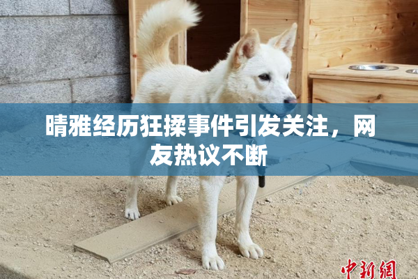 晴雅经历狂揉事件引发关注，网友热议不断
