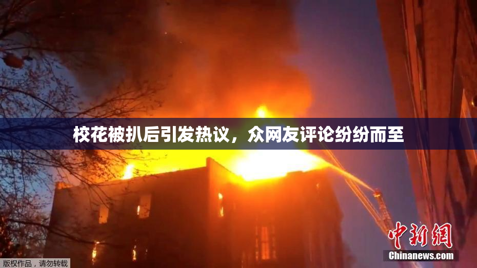 校花被扒后引发热议，众网友评论纷纷而至