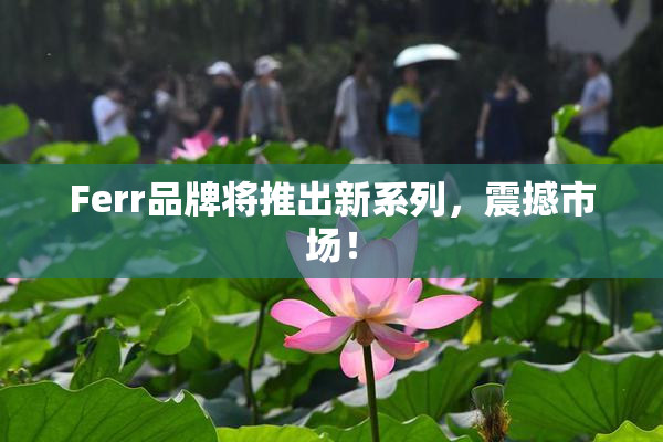 Ferr品牌将推出新系列，震撼市场！