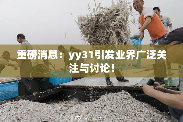 重磅消息：yy31引发业界广泛关注与讨论！