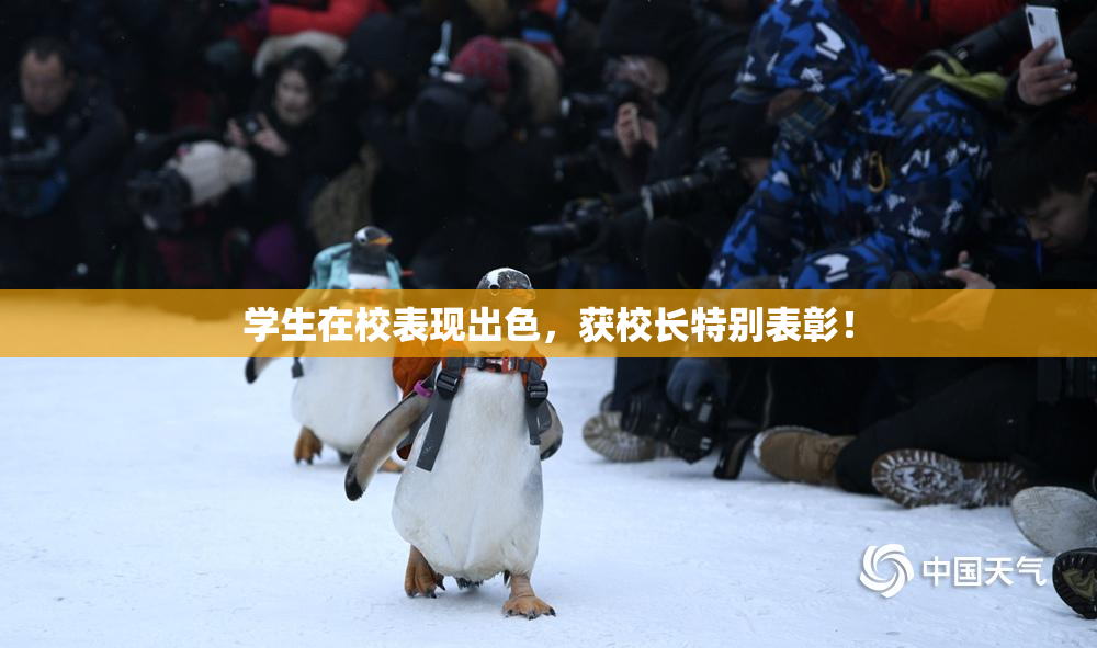 学生在校表现出色，获校长特别表彰！